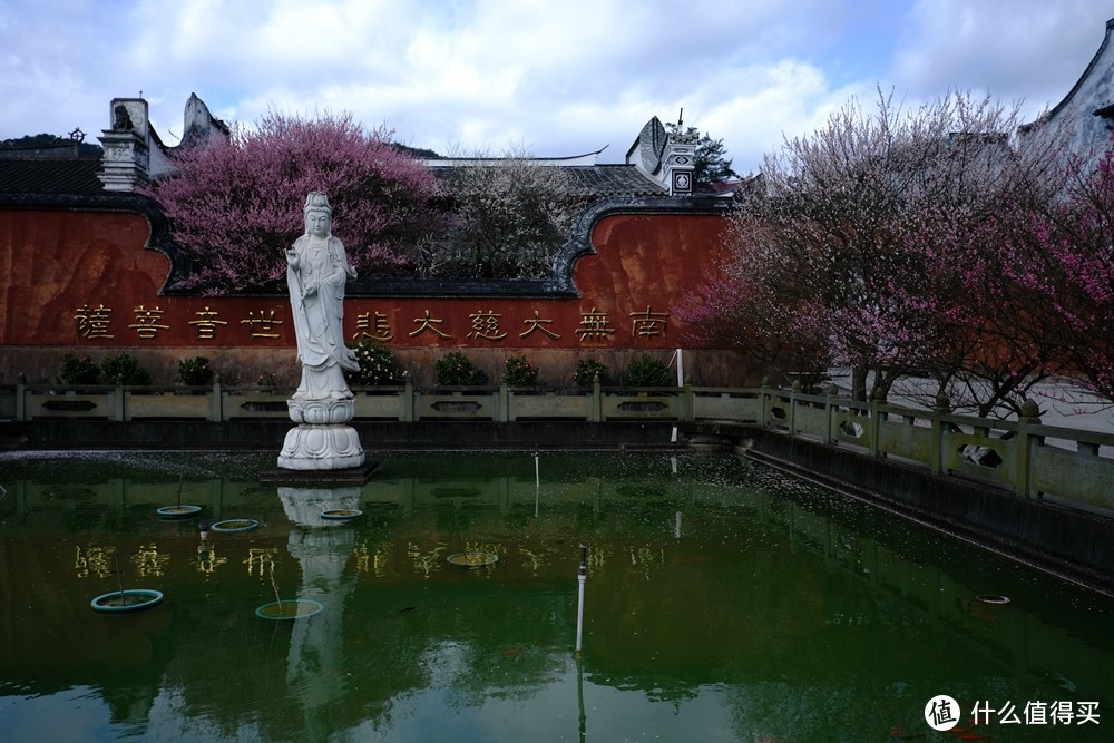 春光明媚何处找？古寺梅花两相好