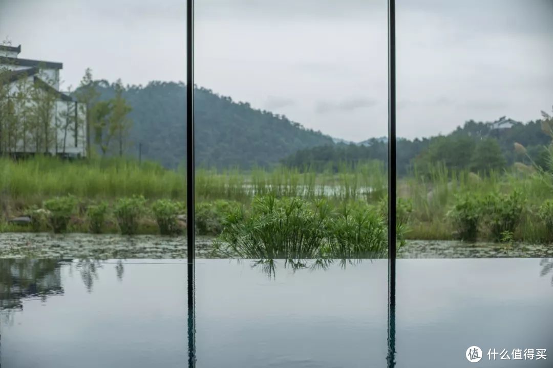 这是山山水水处处明明秀秀的千岛湖，每扇窗都是一幅山水画