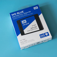 西部数据 BLUE 250GB 硬盘外观展示(正面|背面)