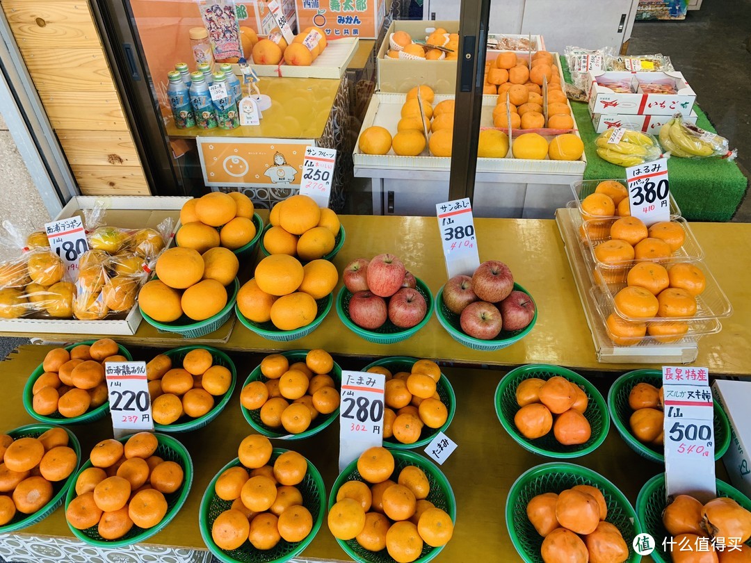 各种蜜柑的价格，按一盆算，便宜的差不多1.5元一个，最贵的6元一个