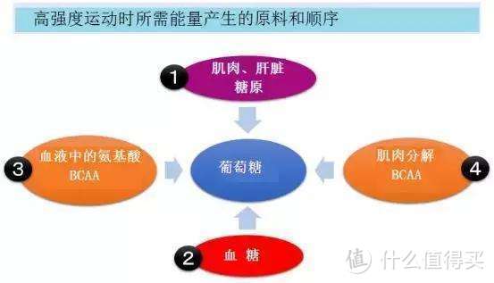 跑步不比走路更伤膝盖？—BBC关于健身的8个真相