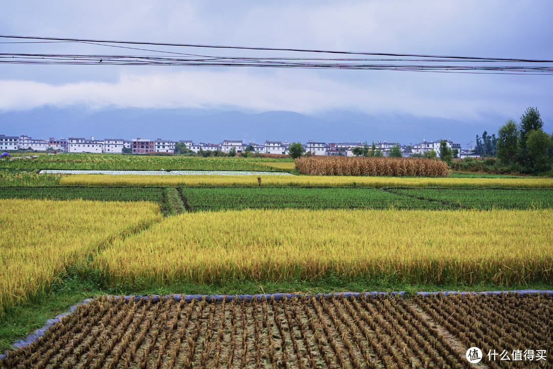 路上风景