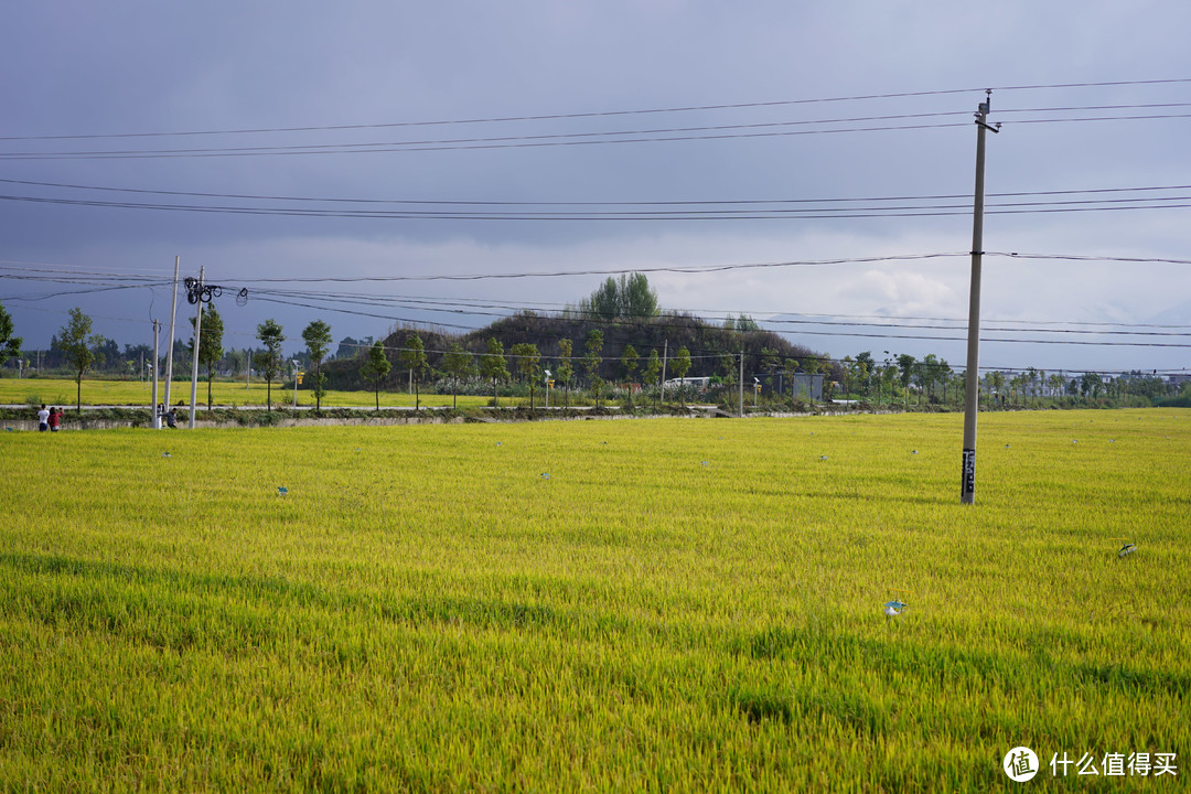 路上风景