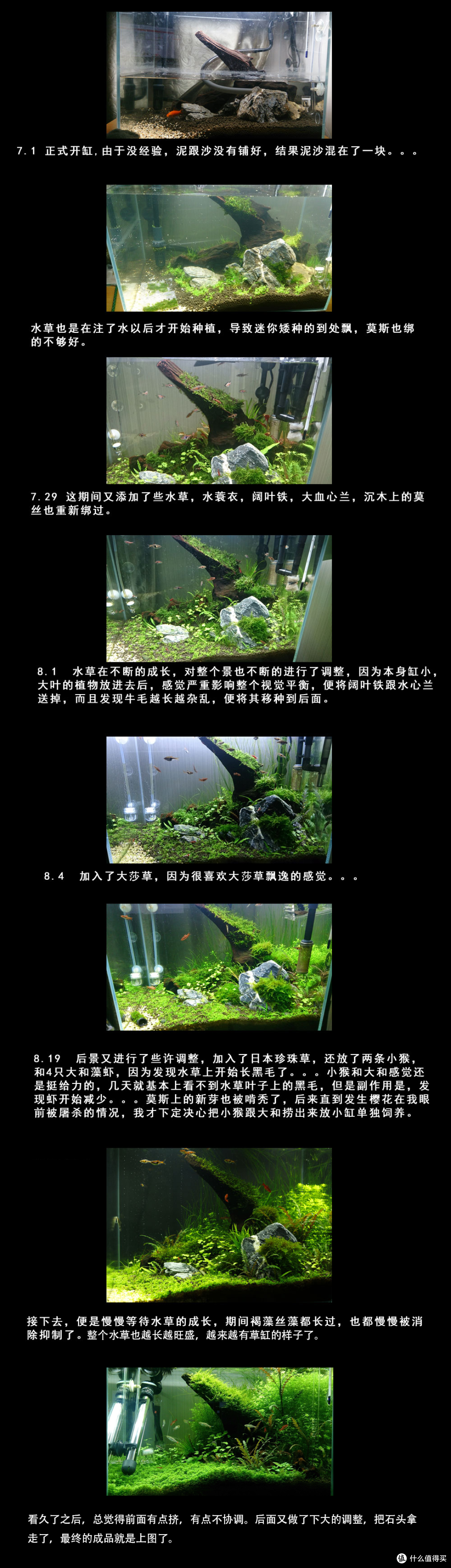 草缸第一次养草的经历分享 养草的要点水质 光照 温度 什么值得买