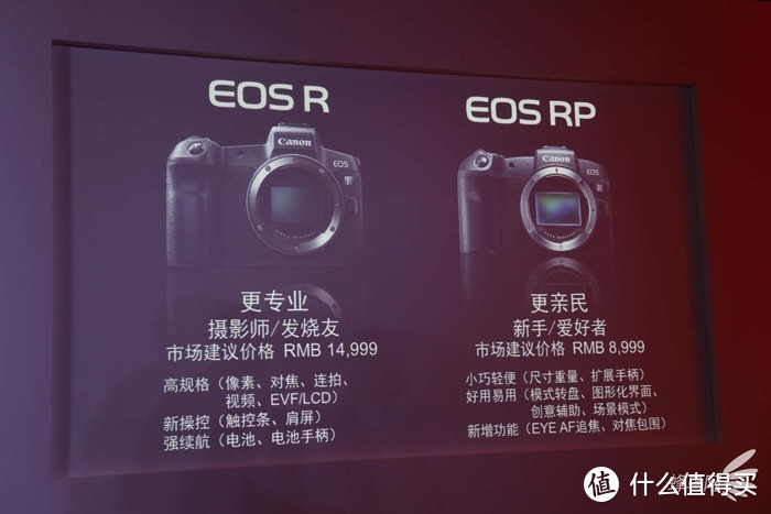 EOS R与EOS RP定位对比