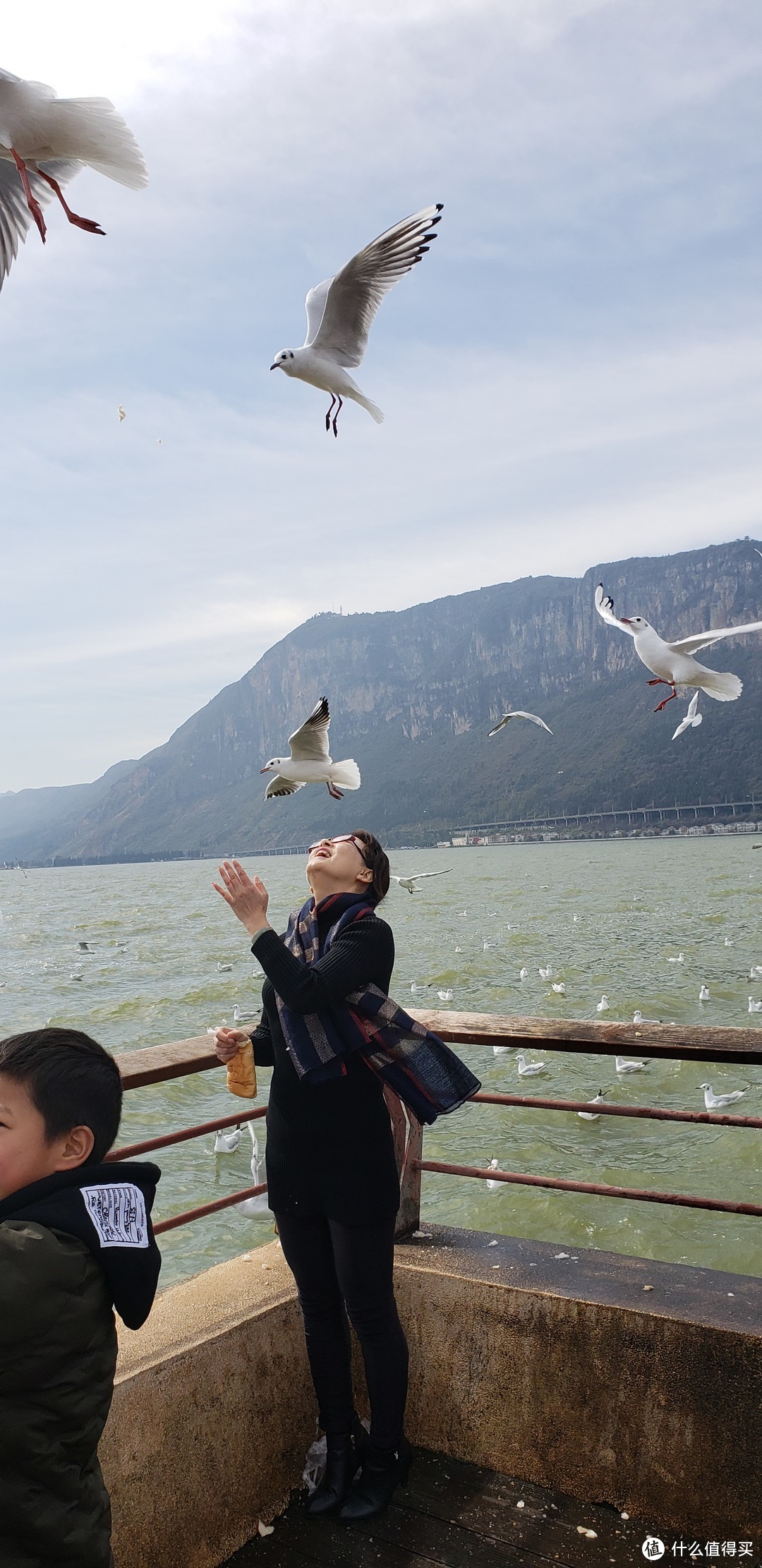 啊，鸽子，啊，海鸥