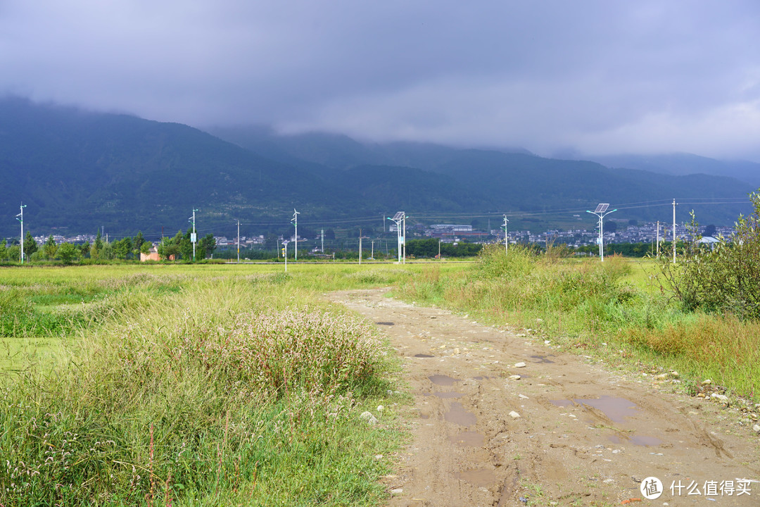 路途逐渐泥泞