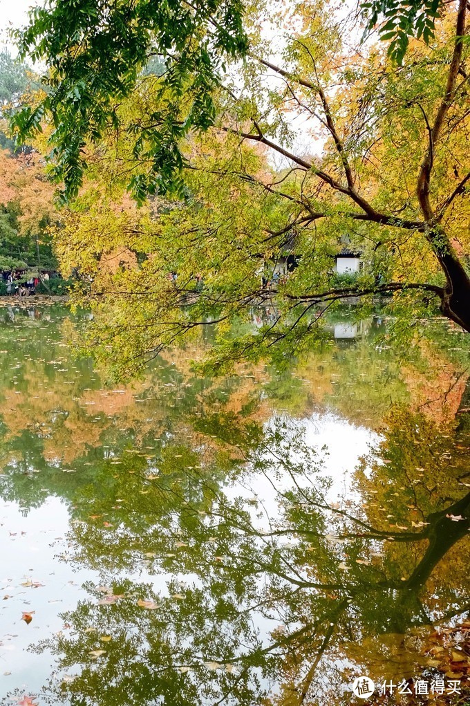 感受季节的馈赠：苏州天平山踏山寻枫