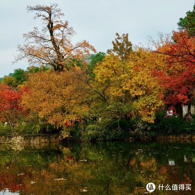 感受季节的馈赠：苏州天平山踏山寻枫