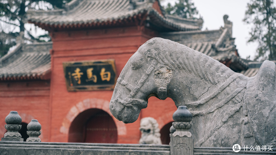游龙门赏白马——洛阳烟火，一望千年
