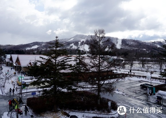 冬季到东京来看雪——第一次带长辈出游的春节日本行