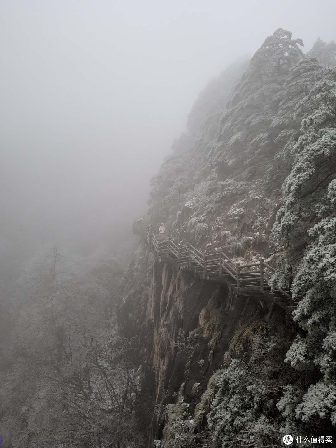 杭州出发能否一日游黄山？冬日黄山游记分享