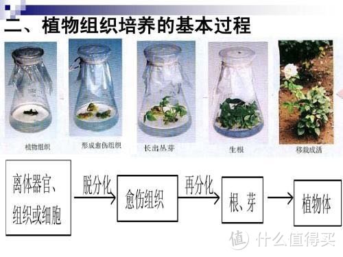 图片来源于百度，侵删