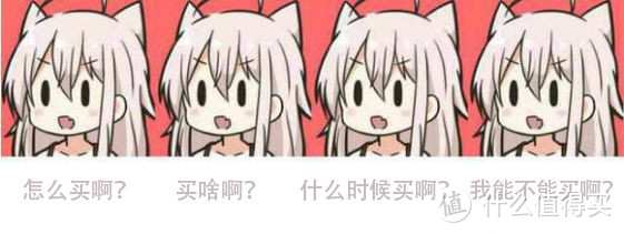 萌新入坑 选多肉 怎么买？买什么？什么时候买？适不适合养？