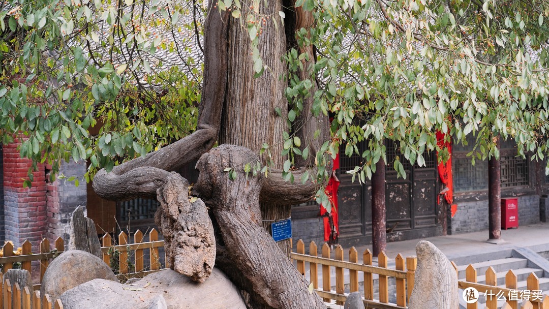 天地之中河南登封-冬游嵩山少林、赏汉室三阙