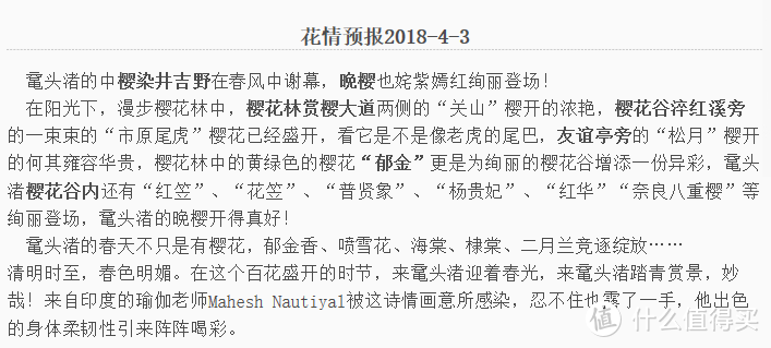 江浙沪的5A赏樱胜地，距杭州、上海不足3小时车程，世界三大赏樱地之一