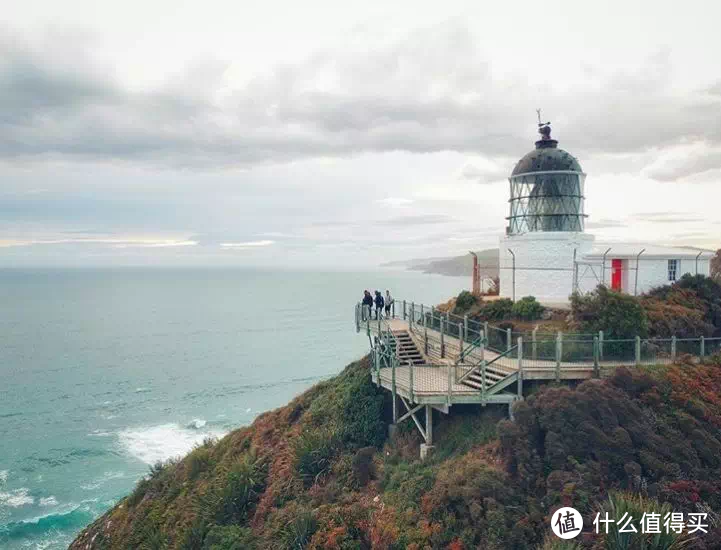 AA 2019夏季榜单 | 新西兰夏天101件Must-Do 之【南岛篇】！飞去新西兰找夏天