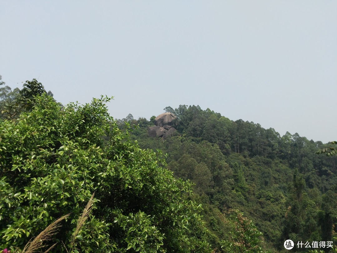 天河悠悠岁月，绿植勃勃生机