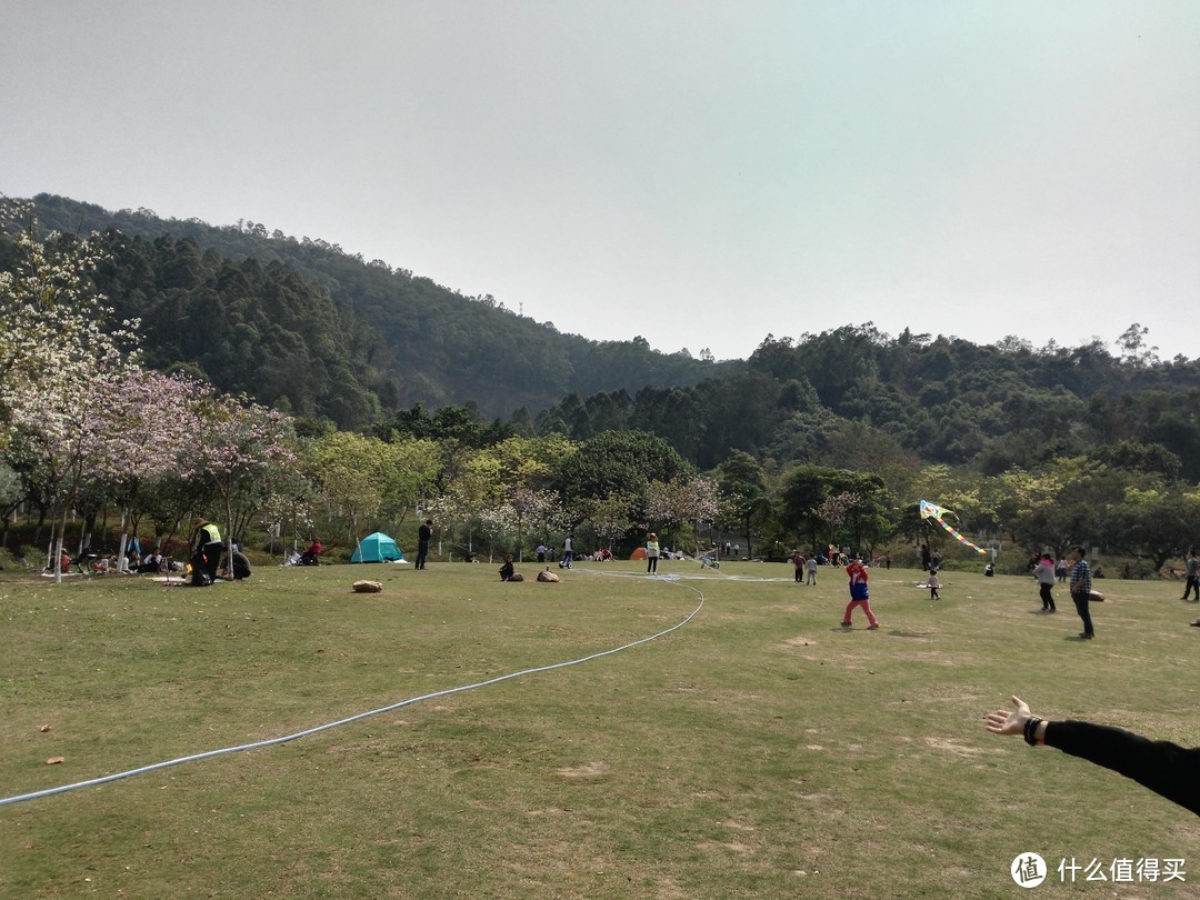 天河悠悠岁月，绿植勃勃生机