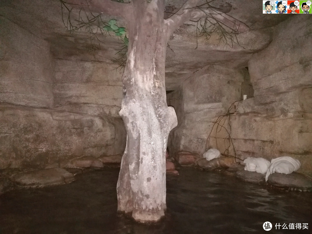 叫做“树洞温泉”，很有意境。