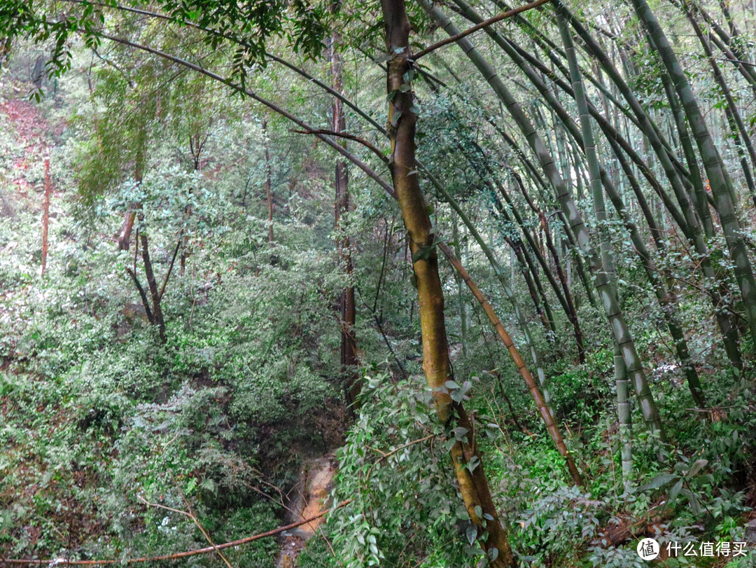 临富春江畔登灵隐三寺——经典小众杭州3日自由行游记