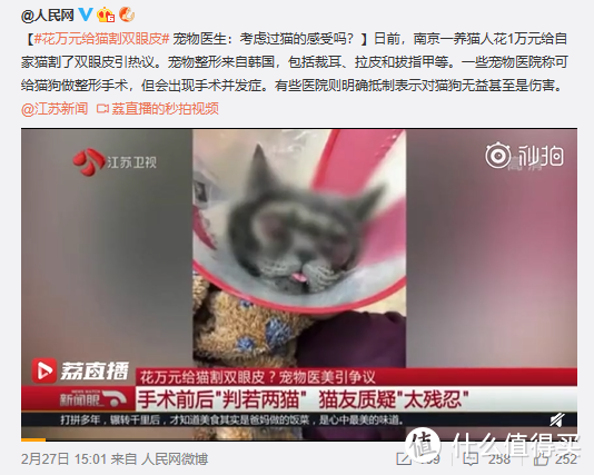 南京一养猫人花费上万元给自家猫割双眼皮遭热议，被质疑是否“太残忍”？