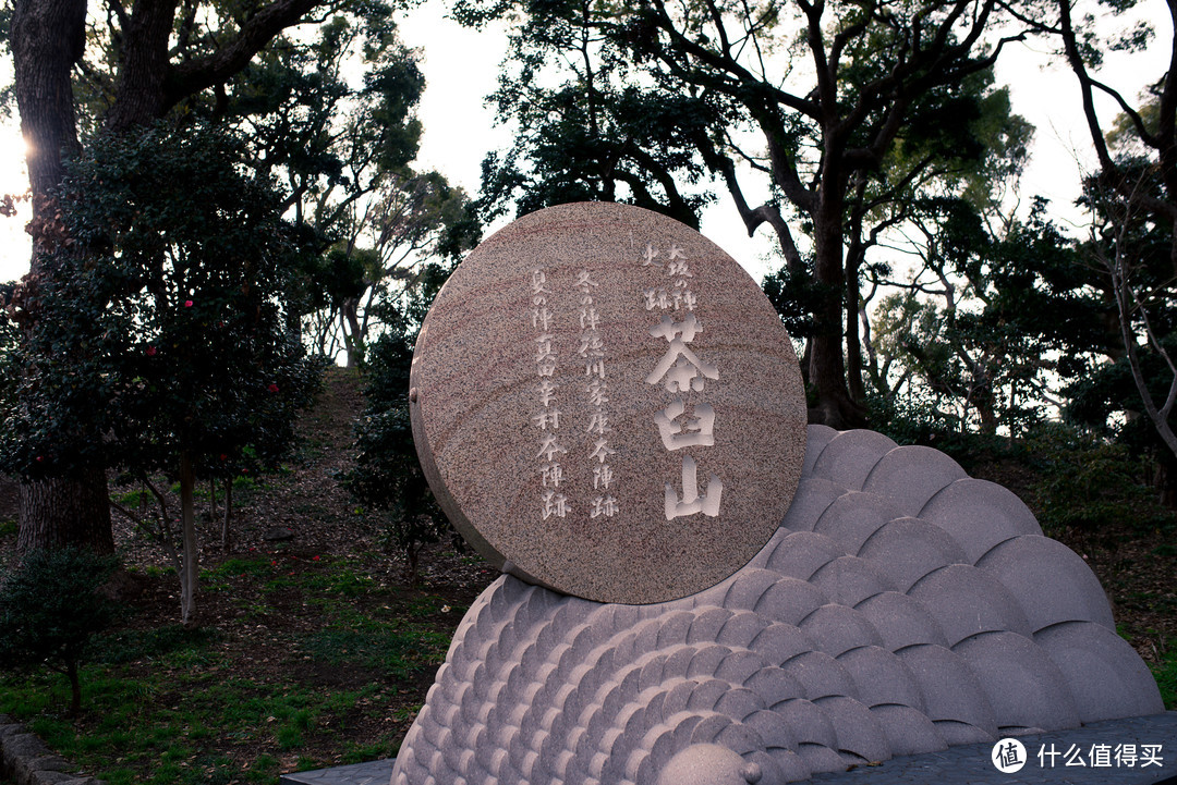 从上面可以看到，茶臼山是大阪之战冬之阵德川家康本阵迹，是夏之阵真田幸村本阵迹。就是说在两场战斗中都是被两方分别控制的，可以说是一个很重要的高地。