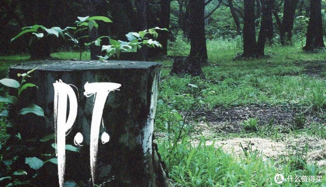 P.T 创下了概念型 DEMO 罕见的成功案例