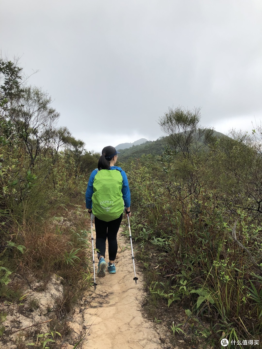 香港徒步 — 那天我们走过的船湾淡水湖环线！