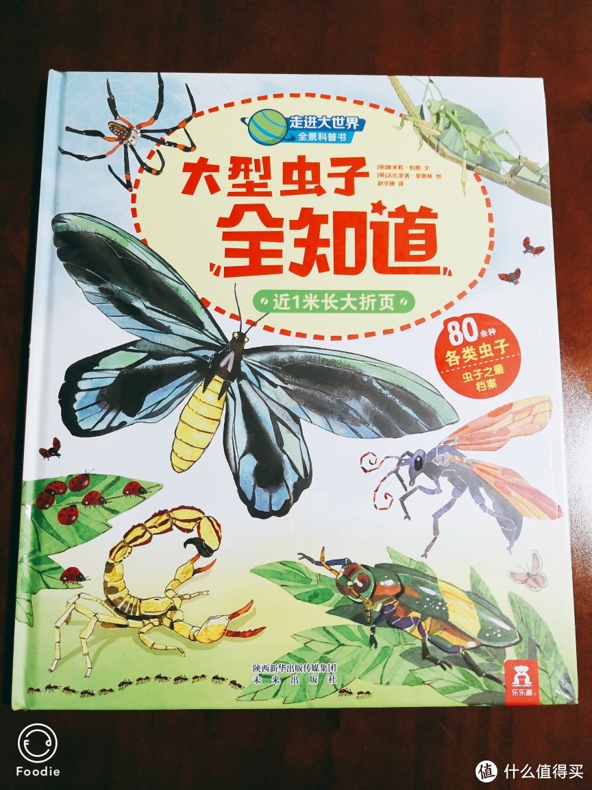 [3-8岁]走进大世界全景科普书123合辑 乐乐趣 全景科普书 12册