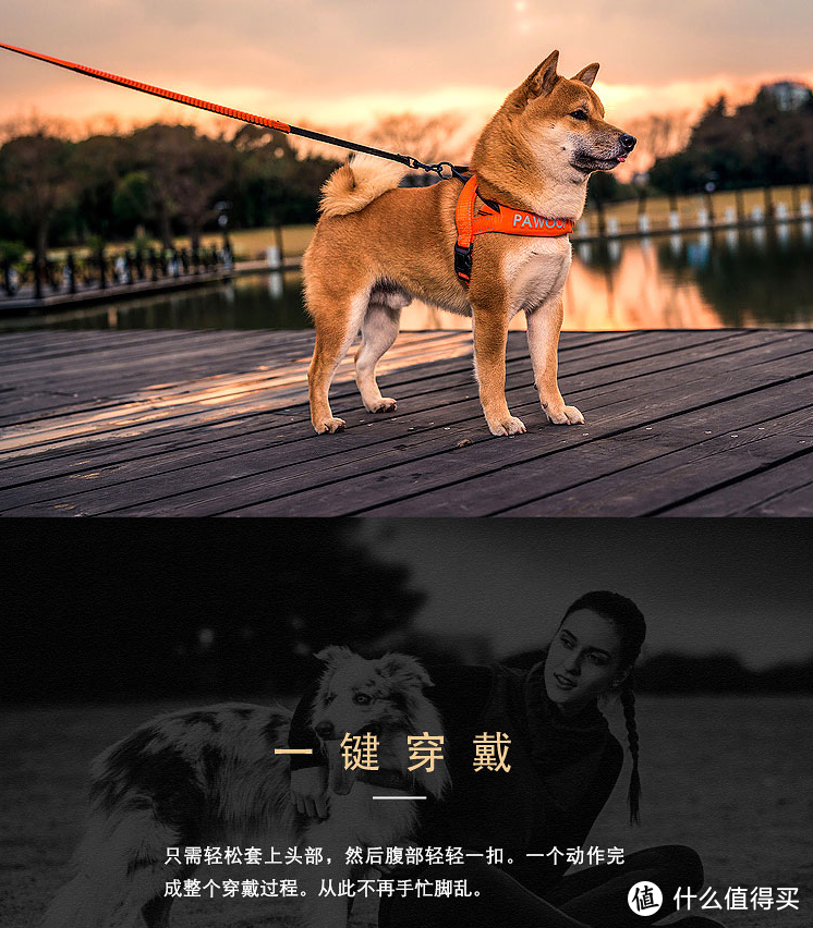 柴犬各种萌蠢傻缺表情包，总有一款萌到你！