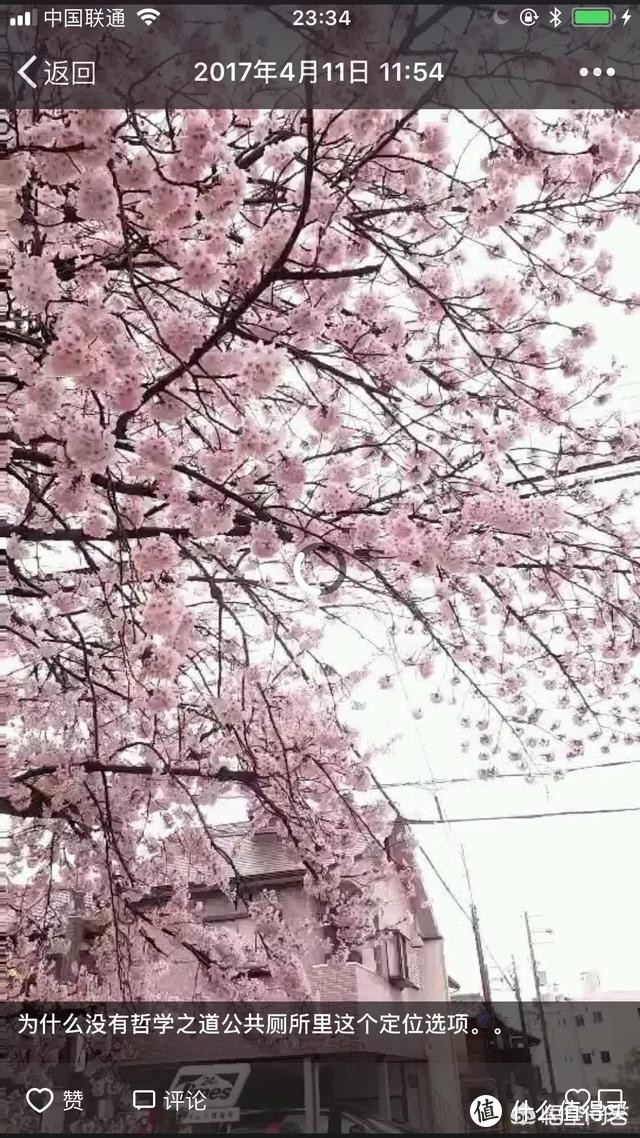 三月樱花祭 武大的樱花真的有那么好看吗