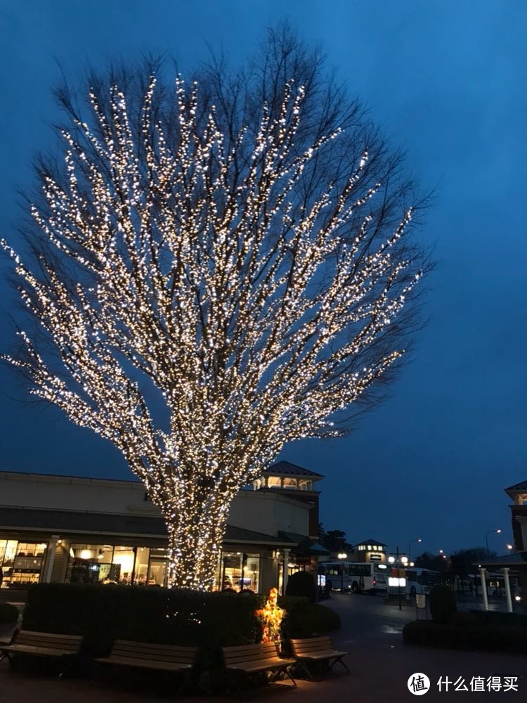 春节后去了趟日本🇯🇵