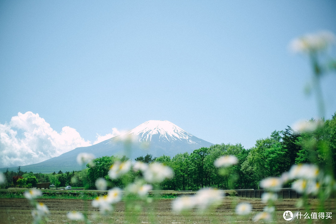 【300元的大光圈】七工匠25mm F1.8使用心得