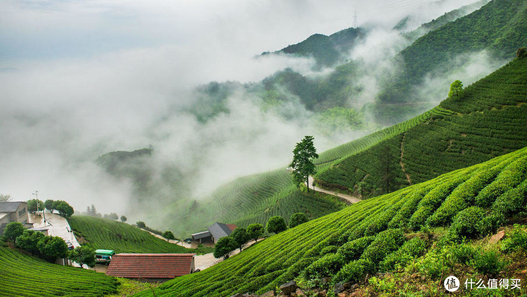 “胡比”你泡茶不好喝的原因，顺带两个关于茶的看法