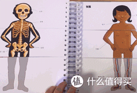 啥？这本书里有个羊水袋！培养宝宝身体认知绝不能错过它！