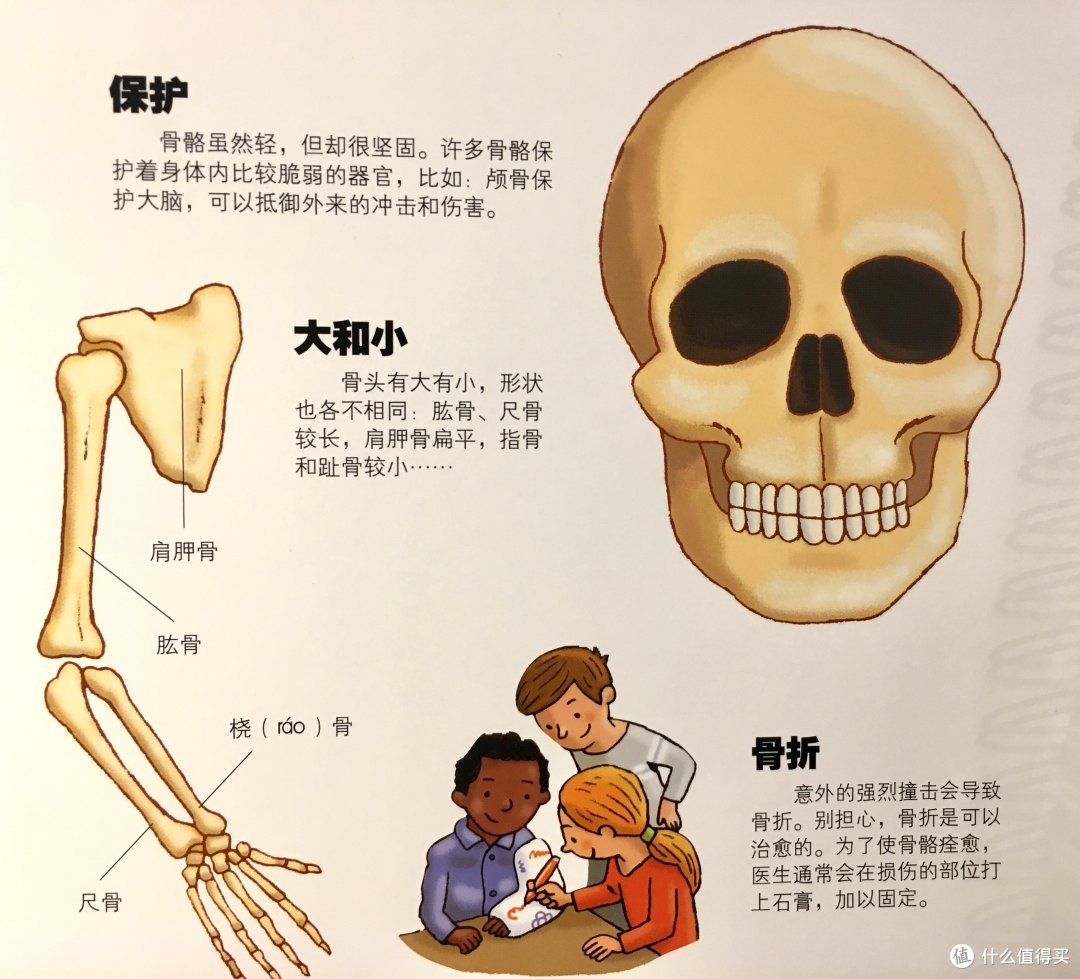 啥？这本书里有个羊水袋！培养宝宝身体认知绝不能错过它！