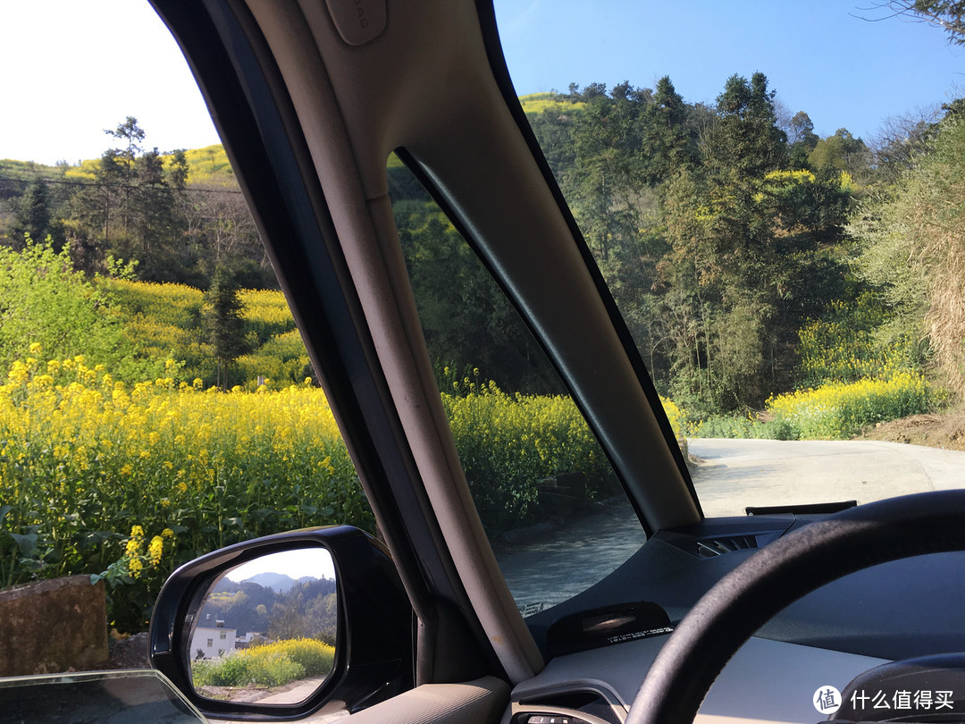 春心荡漾去皖南来一趟最文艺的油菜花之旅