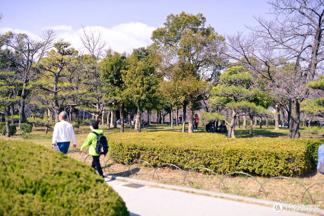 很多大阪人在这个公园里面野餐。