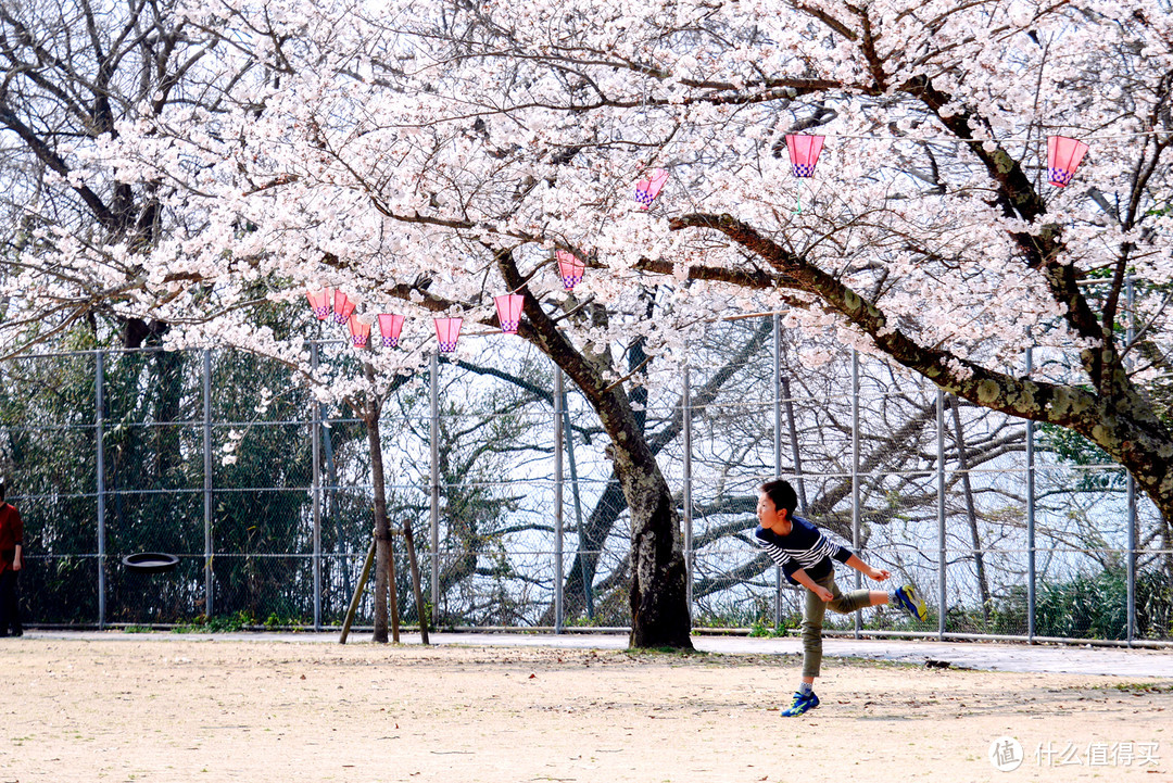 升值2倍的镜头 松下45-175mm F4.0-5.6 使用心得