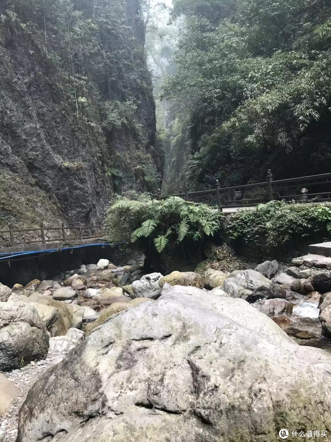 动静相宜妙韵生，成都游记（下）—— 峨眉山的猴