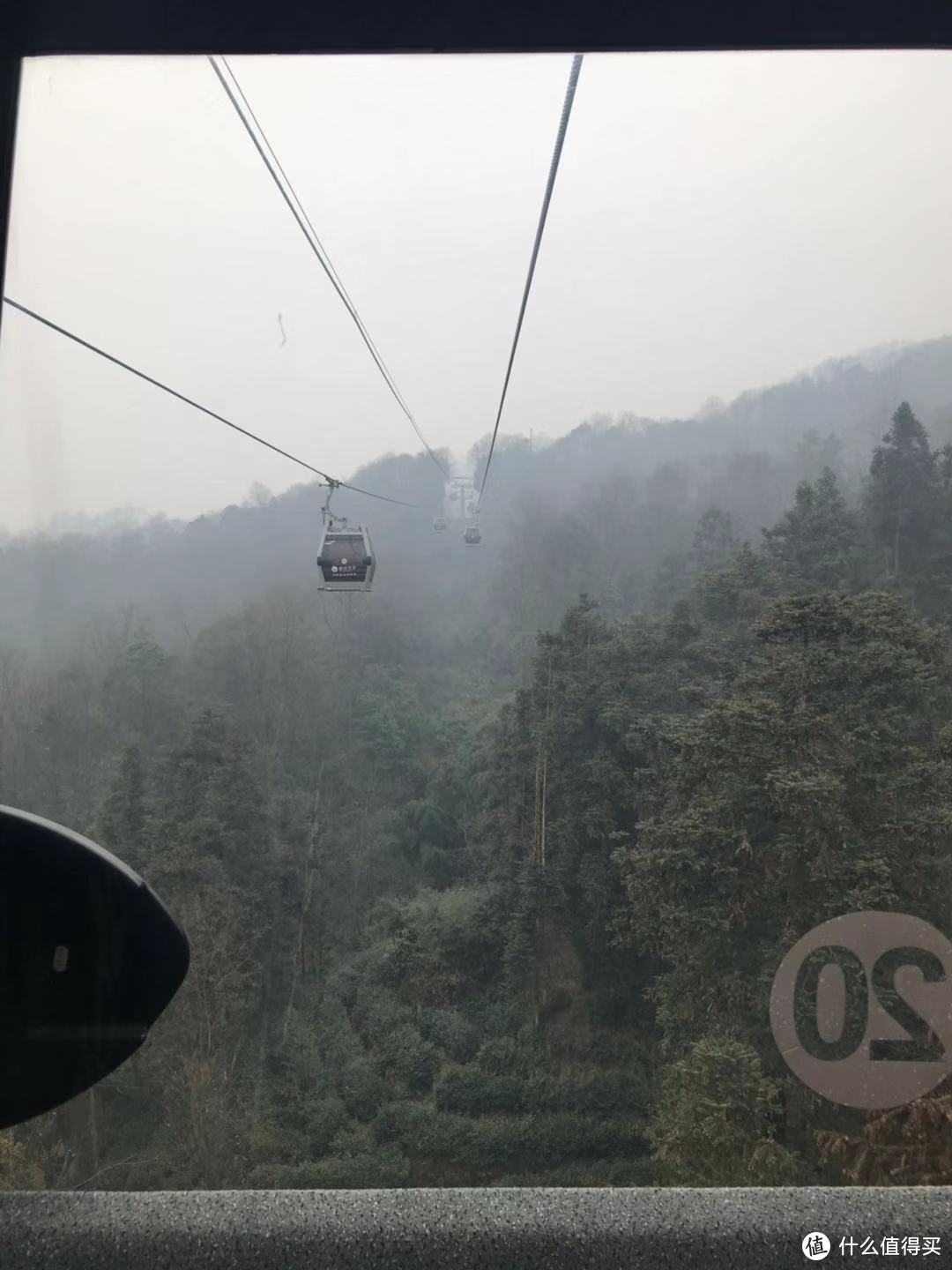 动静相宜妙韵生，成都游记（下）—— 峨眉山的猴