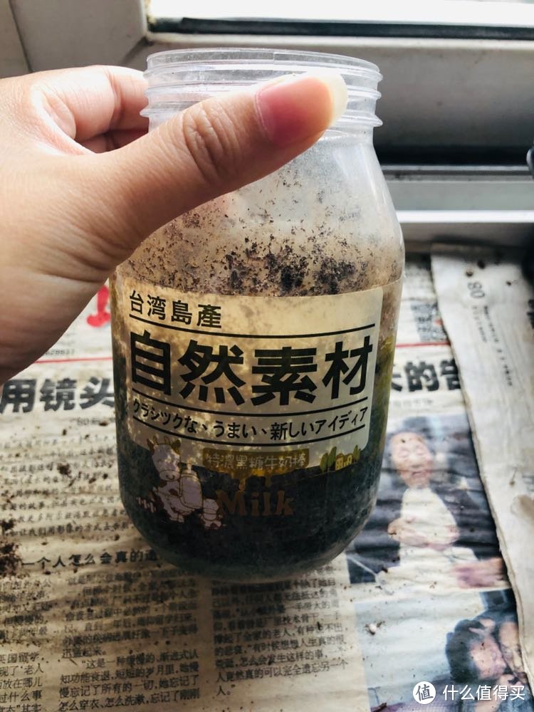 毛茸君de十二卷种植日记—发根操作、叶片萎缩原因分析与木棒棒湿度法