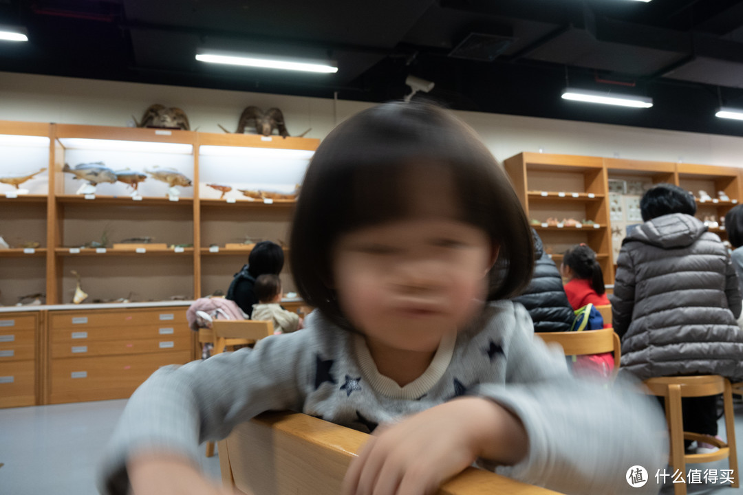 上海带娃两日游：自然博物馆+海洋水族馆