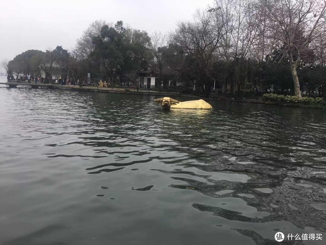 泛海听涛—杭州泛海钓鱼台（2）