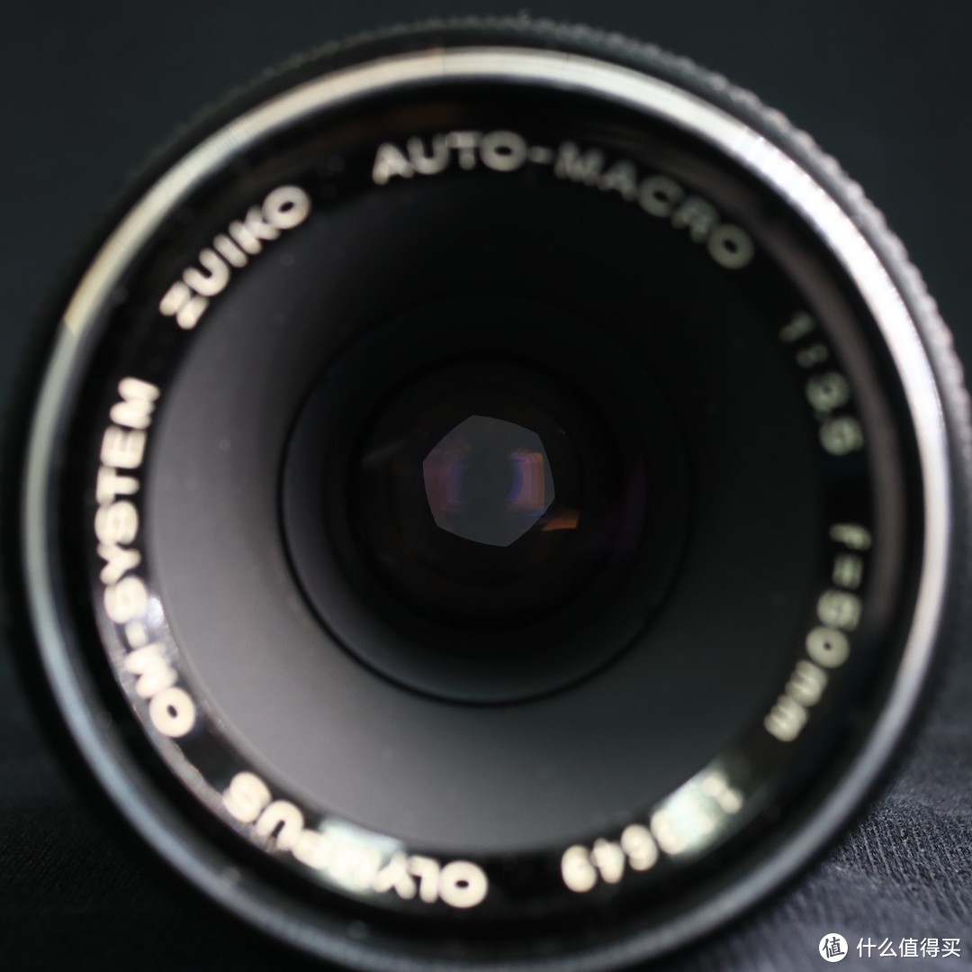 廉价但优秀：奥林巴斯 OM 50/3.5 macro 手动微距镜头