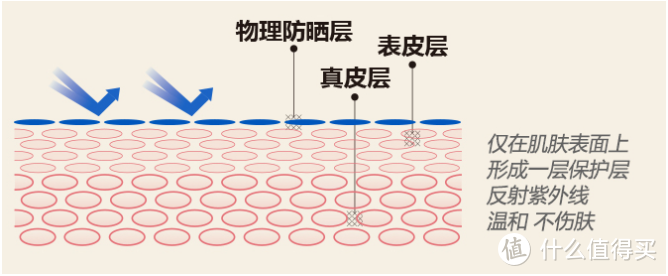 蓝蜥蜴宝宝水嫩防晒，为植树节亲子活动保驾护航