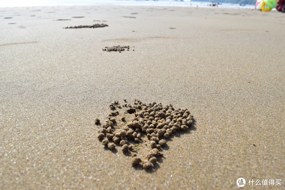 东南沿海最大沙滩，杭州、上海高铁直达，很适合江浙短途游~