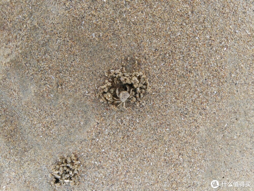 东南沿海最大沙滩，杭州、上海高铁直达，很适合江浙短途游~