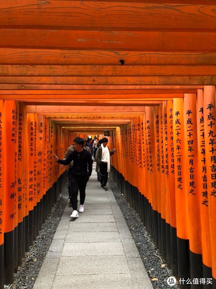 详解京都大阪6日自由行之徒步京都